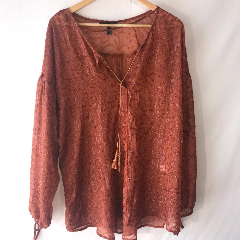 Lane Bryant Sheer Top with Tassles 18/20